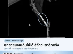 เอ็กซเรย์ขาหลังสุนัขหลังผ่าตัดใส่เพลท เคสน้องลัคกี้