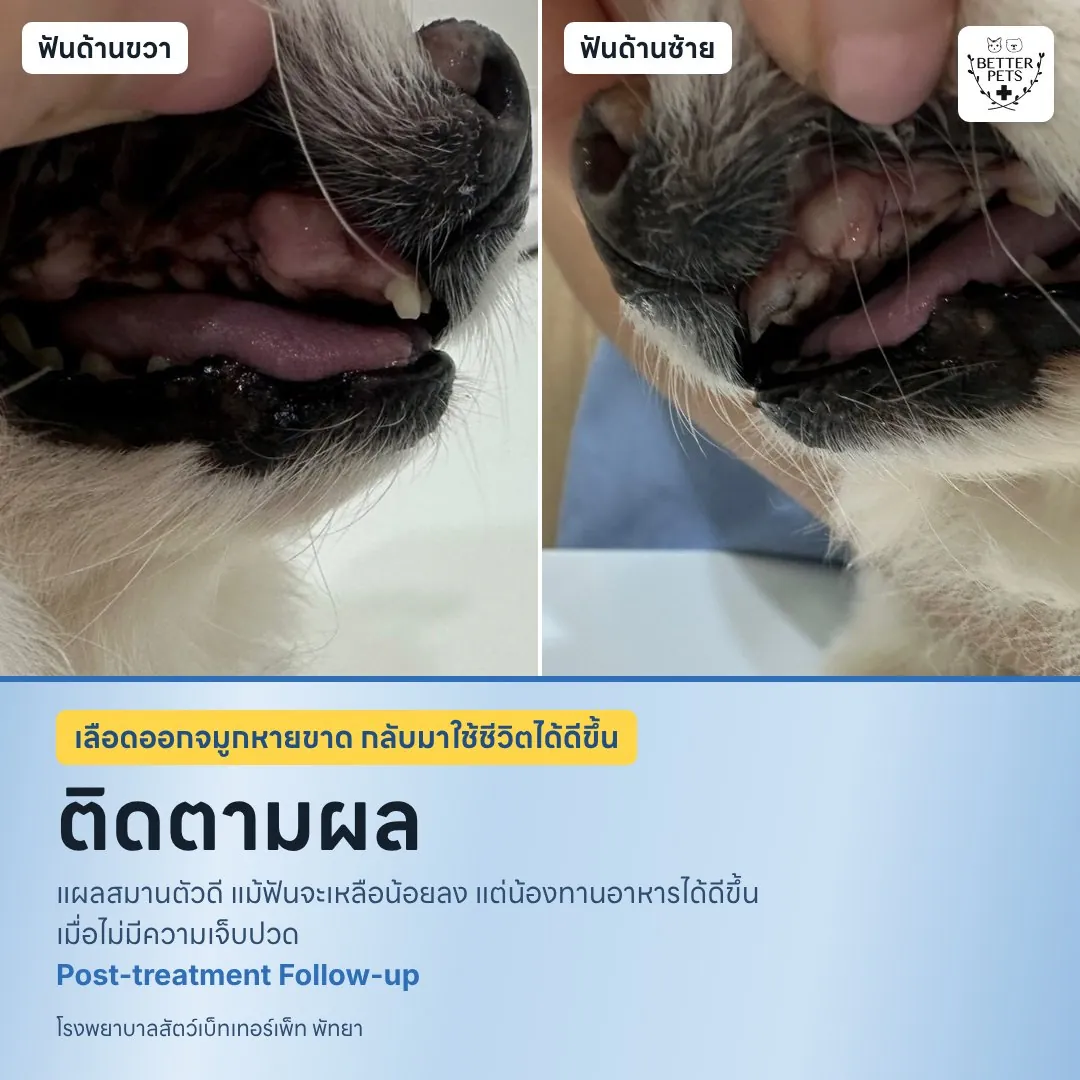 นัดติดตามอาการและรับยาโรคหัวใจ