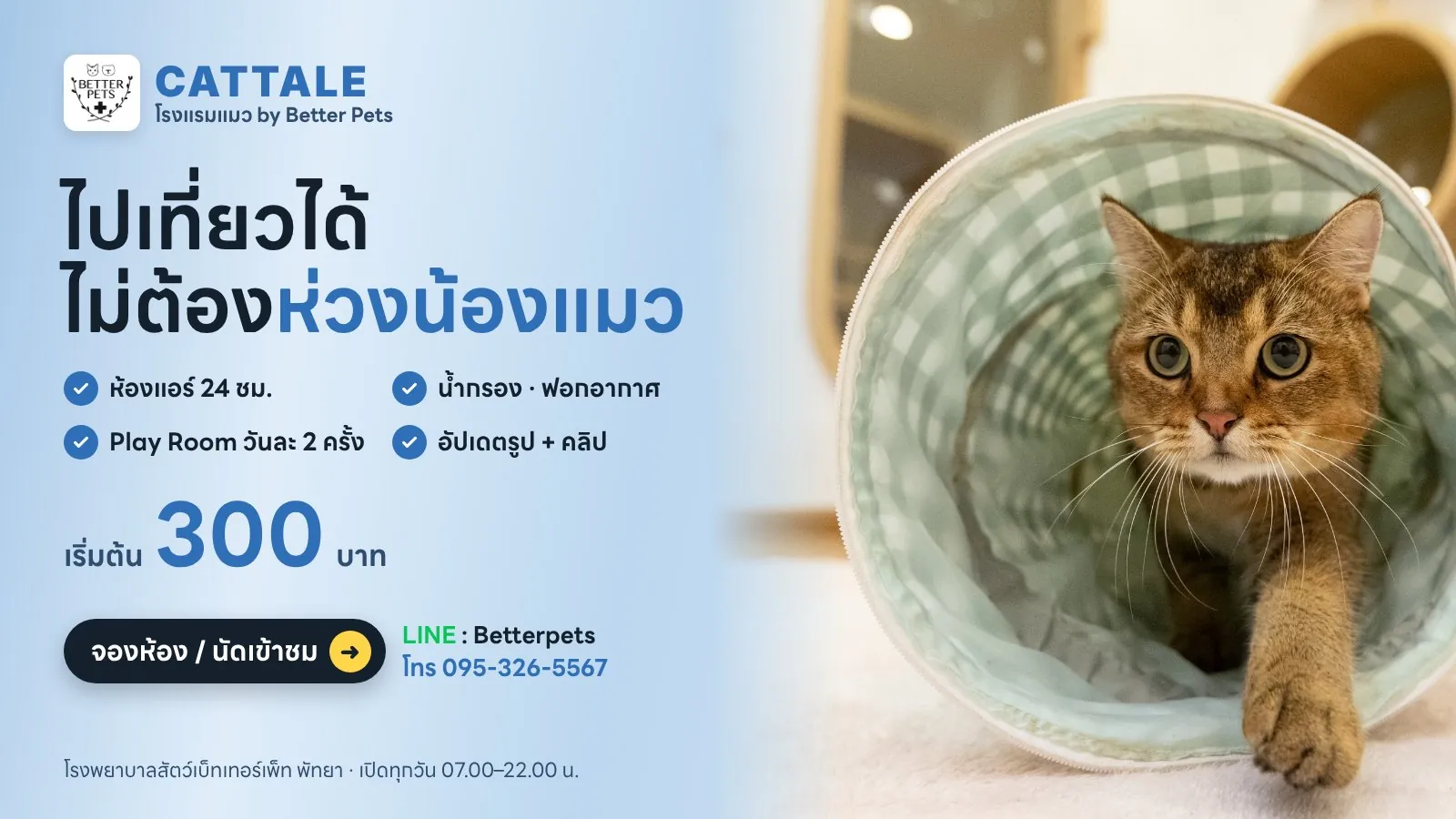 โรงแรมแมว CATTALE ที่โรงพยาบาลสัตว์ Better Pets พัทยา