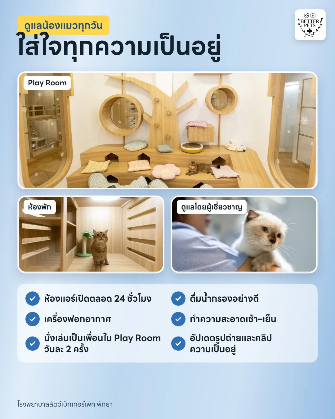 สิ่งอำนวยความสะดวกโรงแรมแมว ห้องแอร์ น้ำกรอง เครื่องฟอกอากาศ