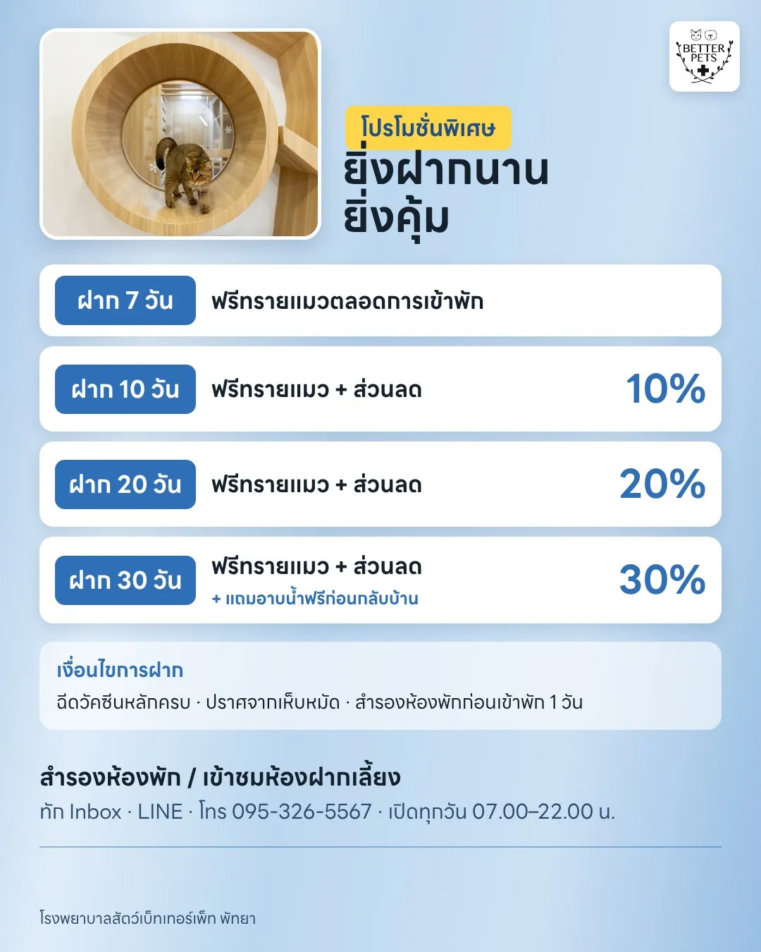 Cat boarding offers for 7, 10, 20 and 30 days