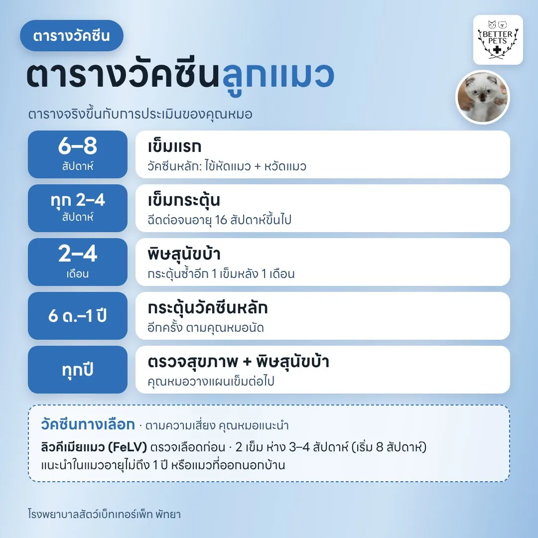 ตารางวัคซีนลูกแมวตามอายุ