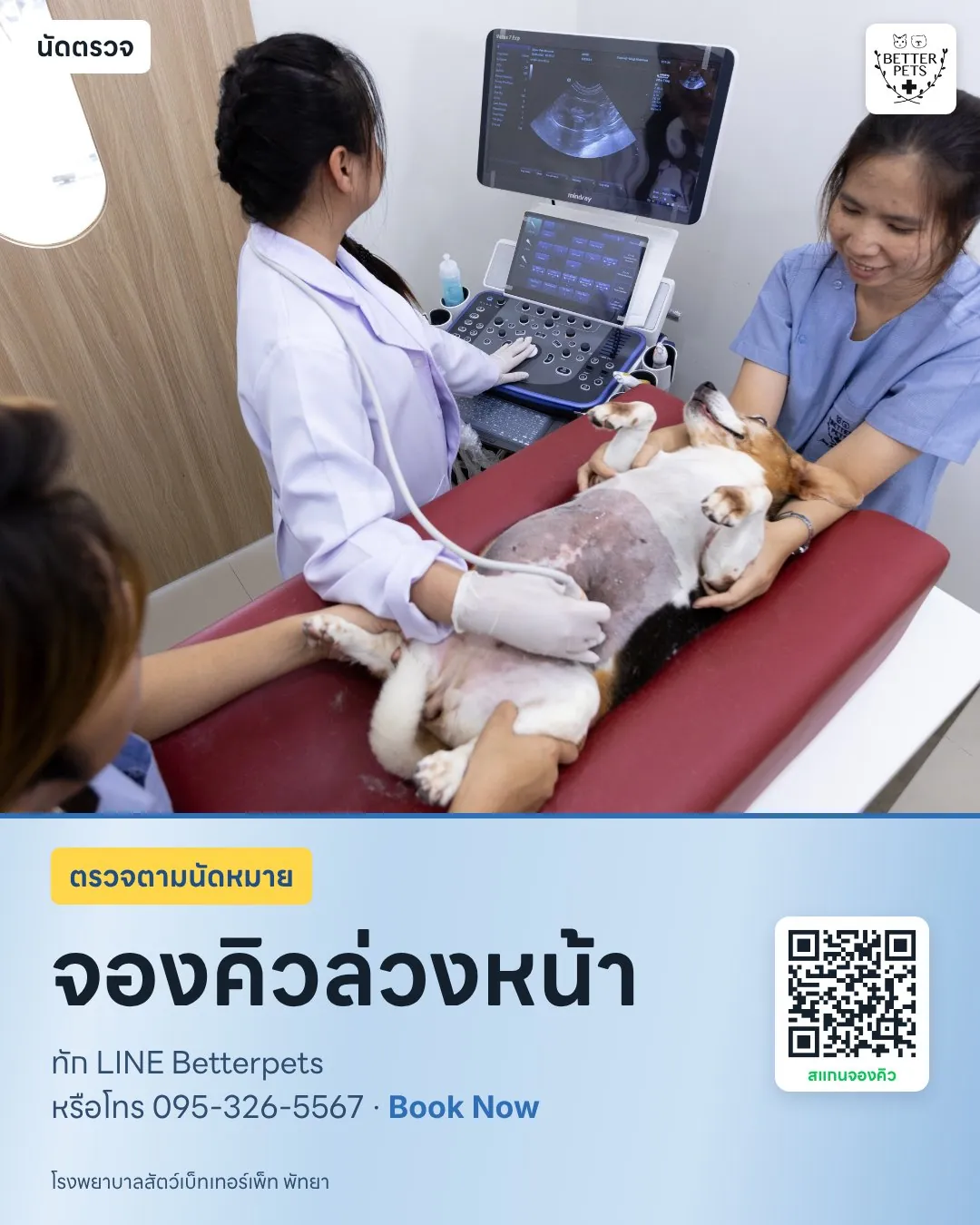 Book an ultrasound appointment via LINE Betterpets