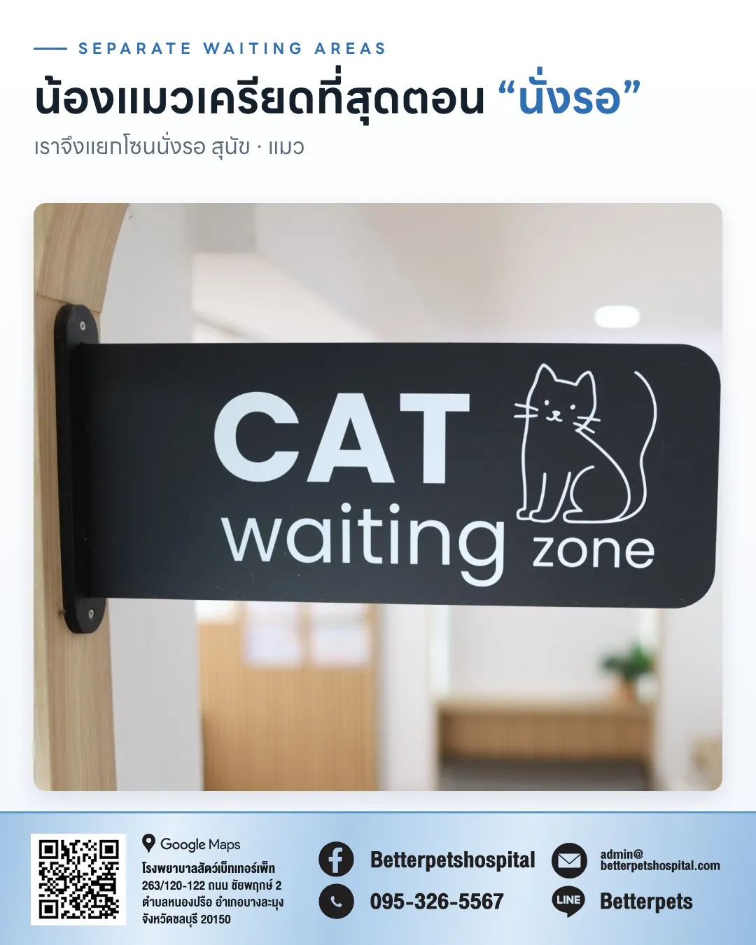 ป้าย Cat waiting zone ที่โรงพยาบาลสัตว์ Better Pets พัทยา