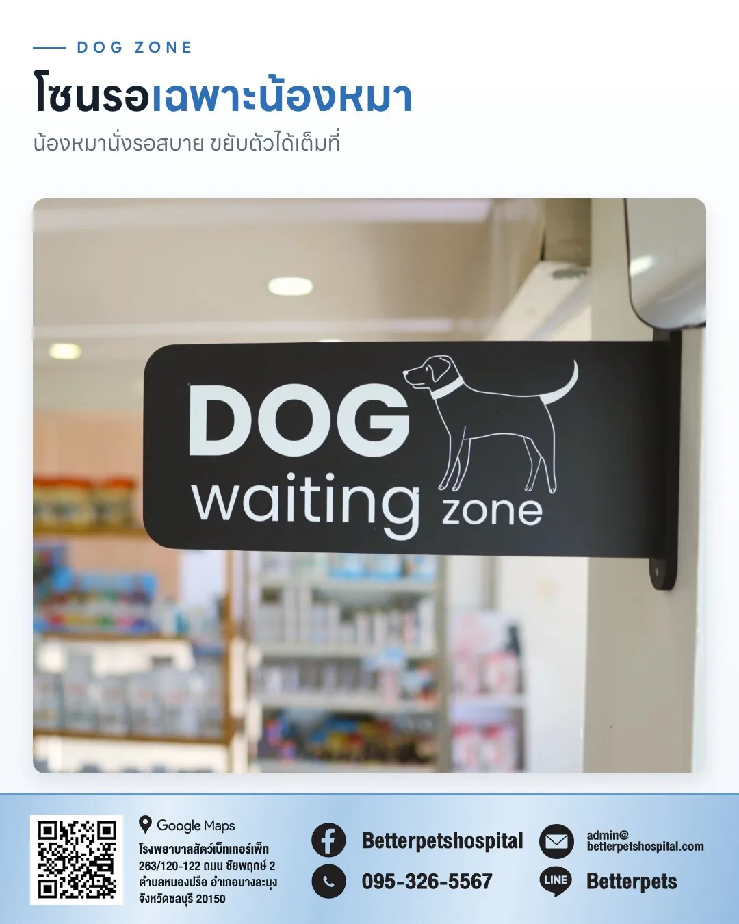 ป้าย Dog waiting zone โซนนั่งรอเฉพาะสุนัข