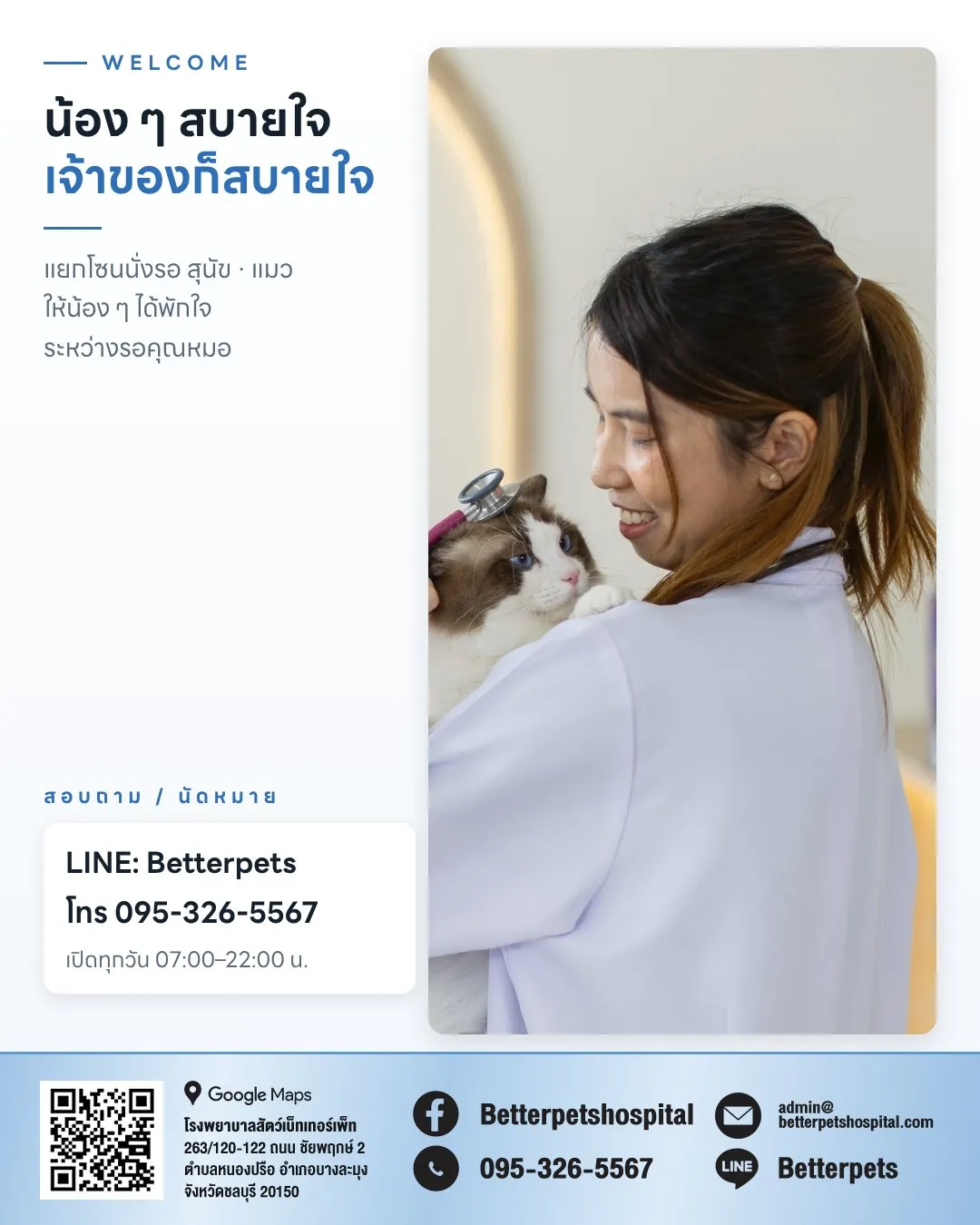 คุณหมออุ้มน้องแมวที่ Better Pets พัทยา